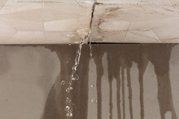 Professional Water Damage Inspection technician working in Marshallberg, NC